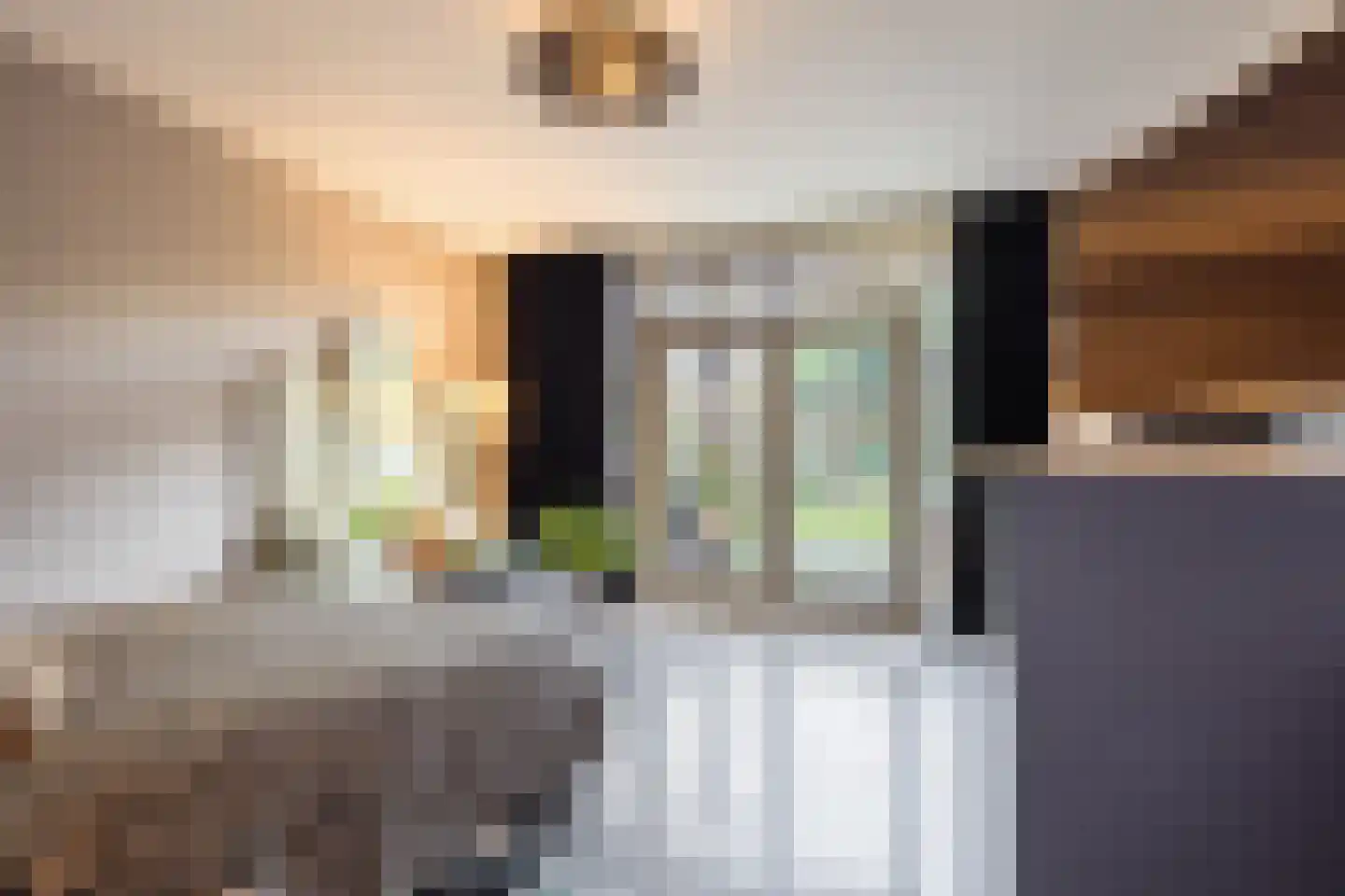 Groot Hertoginnelaan 31 Den Haag thumbnail 33