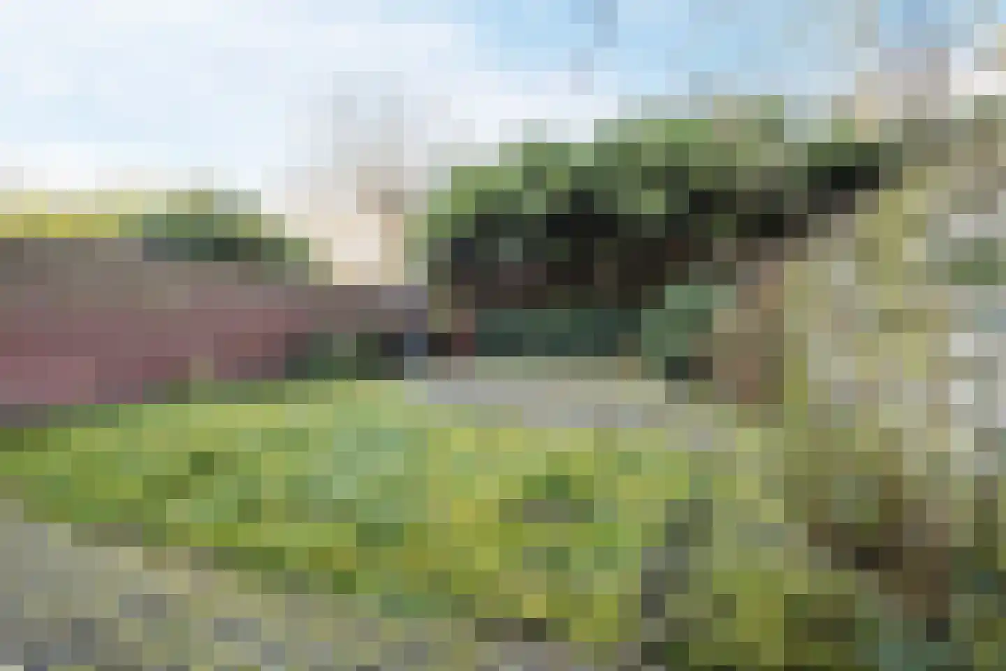 Groot Hertoginnelaan 31 Den Haag thumbnail 39