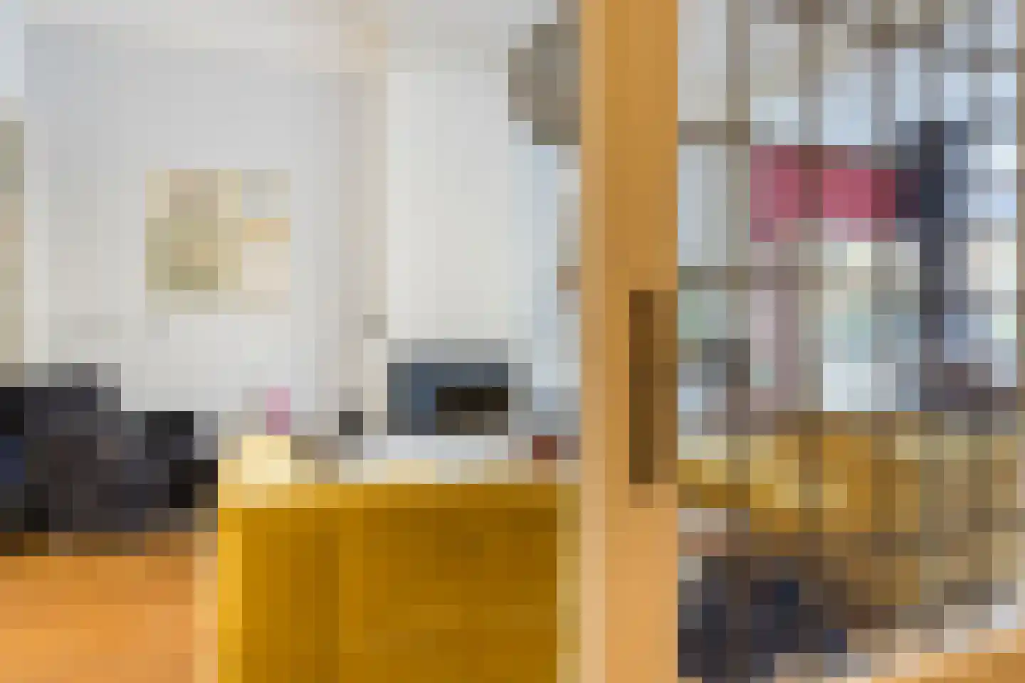 Groot Hertoginnelaan 31 Den Haag thumbnail 8