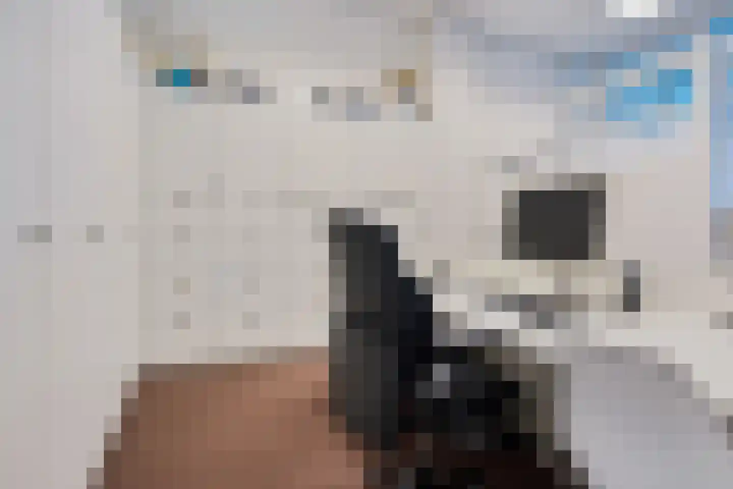 Groot Hertoginnelaan 38 Den Haag thumbnail 18