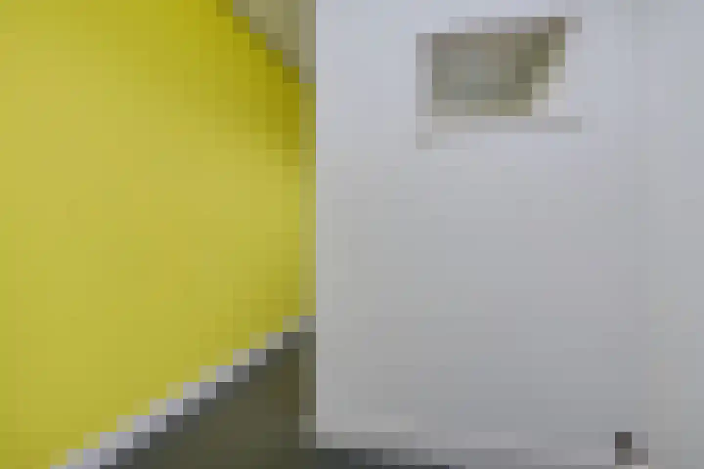 Groot Hertoginnelaan 38 Den Haag thumbnail 31