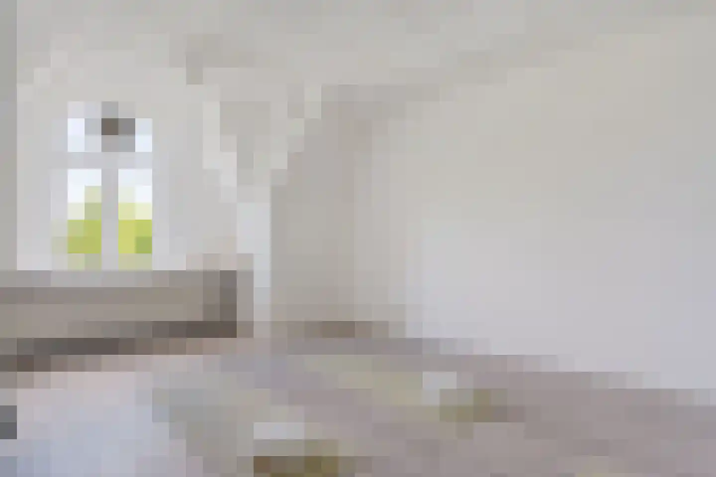 Groot Hertoginnelaan 38 Den Haag thumbnail 39