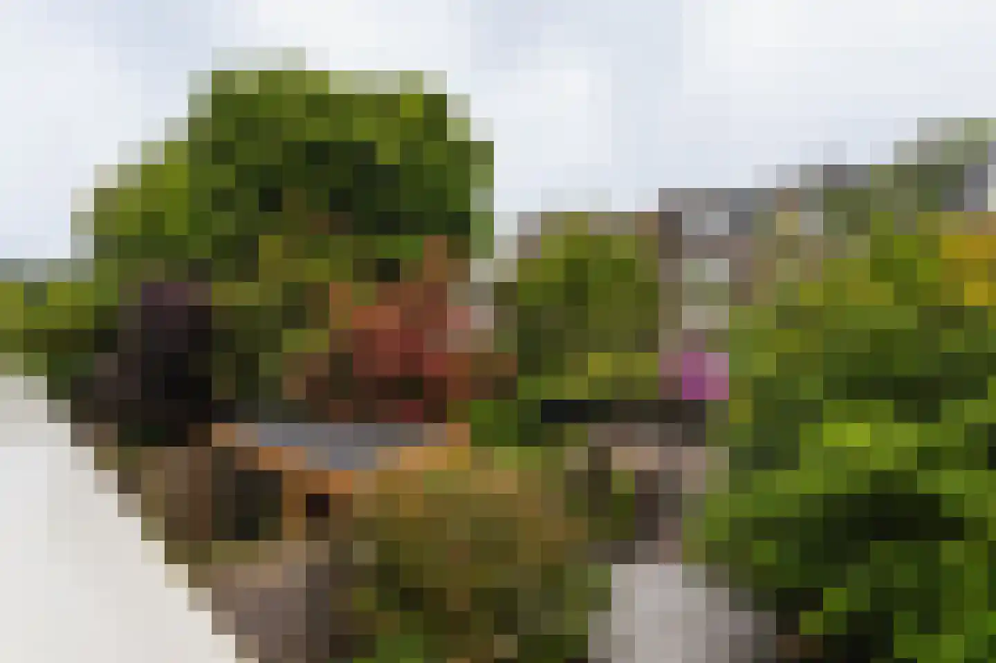 Groot Hertoginnelaan 47 A Den Haag thumbnail 18