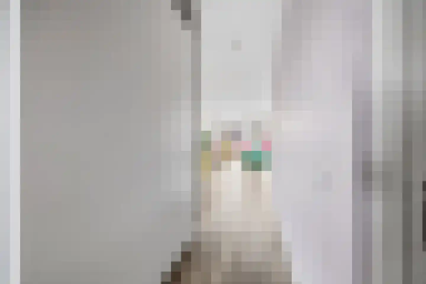 Groot Hertoginnelaan 47 B Den Haag thumbnail 16