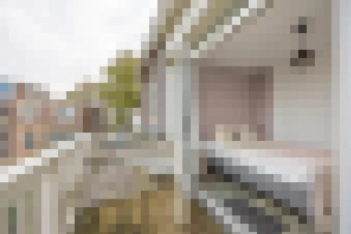 Groot Hertoginnelaan 47 B Den Haag thumbnail 21
