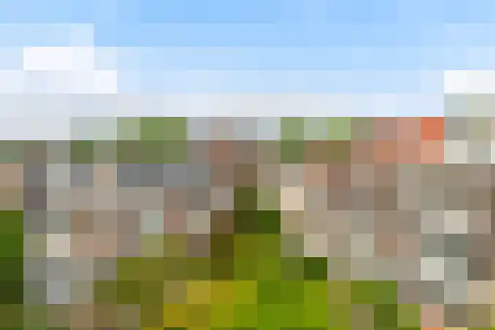 Groot Hertoginnelaan 47 C Den Haag thumbnail 23