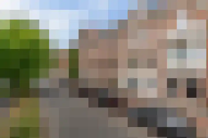 Groot Hertoginnelaan 47 C Den Haag thumbnail 25