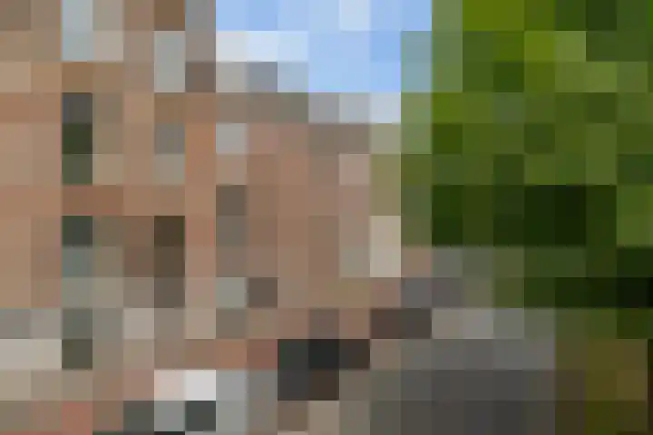 Groot Hertoginnelaan 47 C Den Haag thumbnail 27