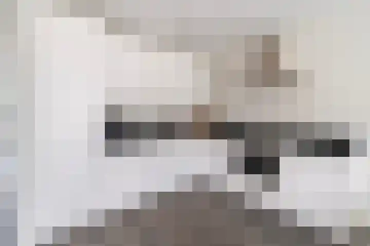 Groot Hertoginnelaan 47 C Den Haag thumbnail 6