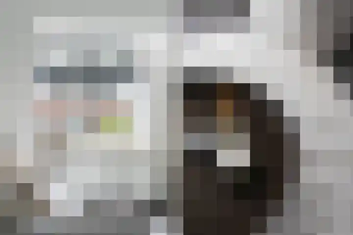Groot Hertoginnelaan 47 C Den Haag thumbnail 9