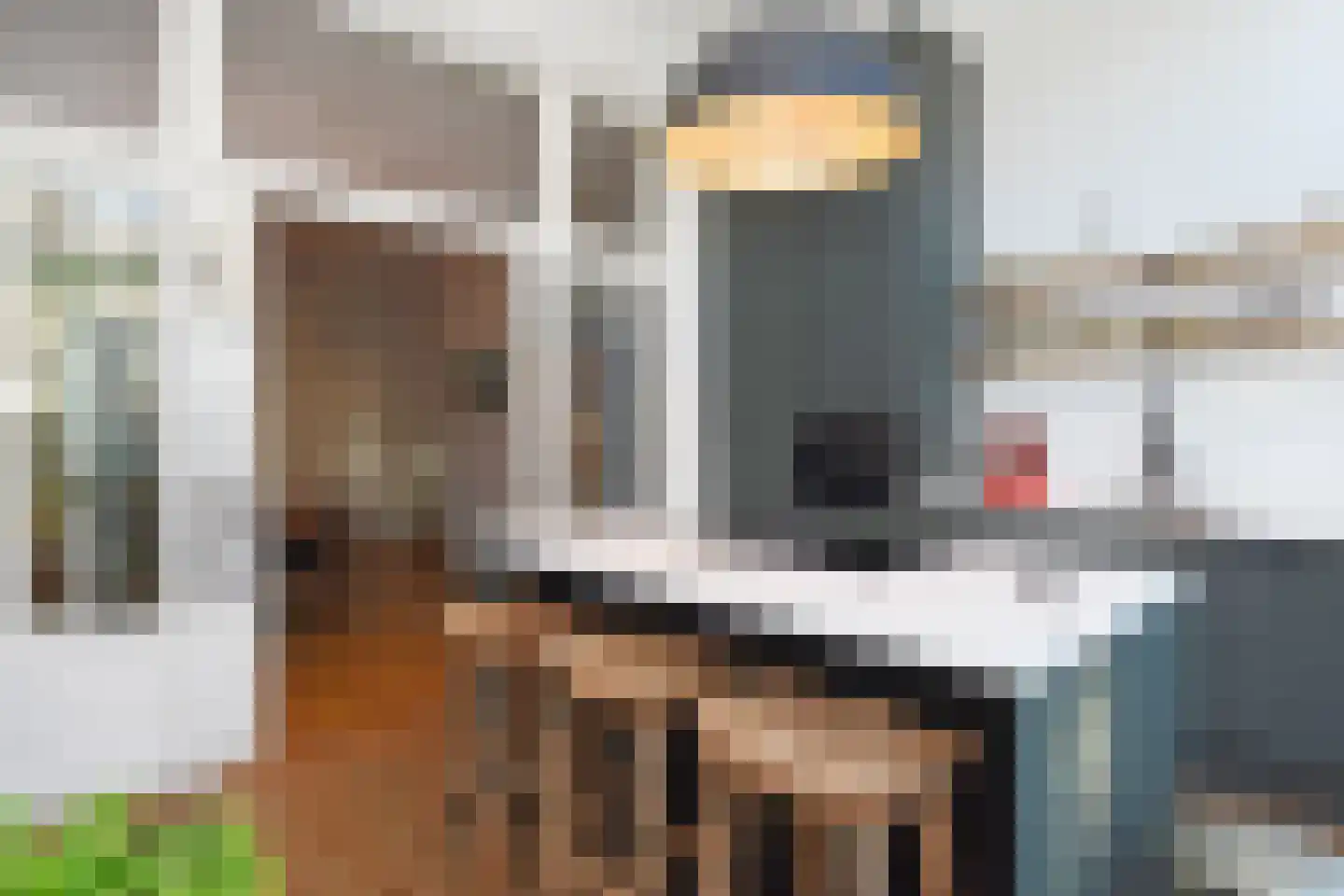 Groot Hertoginnelaan 53 Den Haag thumbnail 17