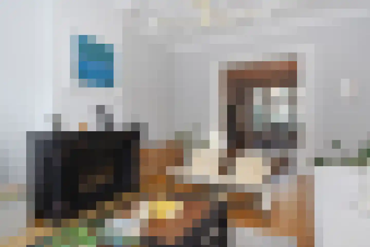 Groot Hertoginnelaan 53 Den Haag thumbnail 8