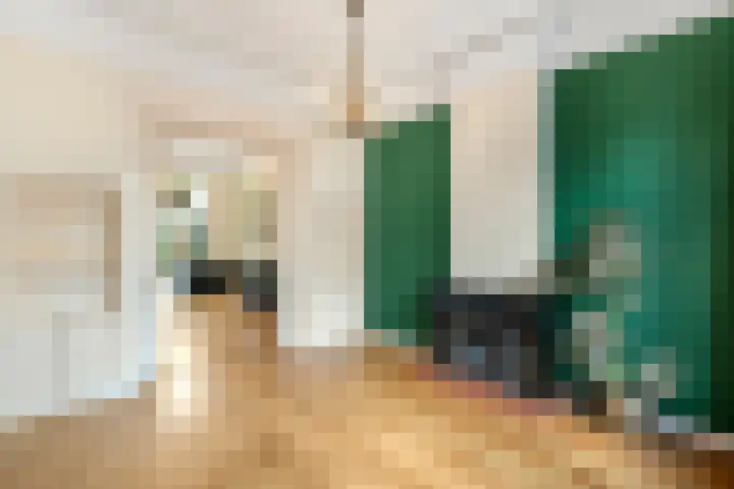 Groot Hertoginnelaan 54 Den Haag thumbnail 12