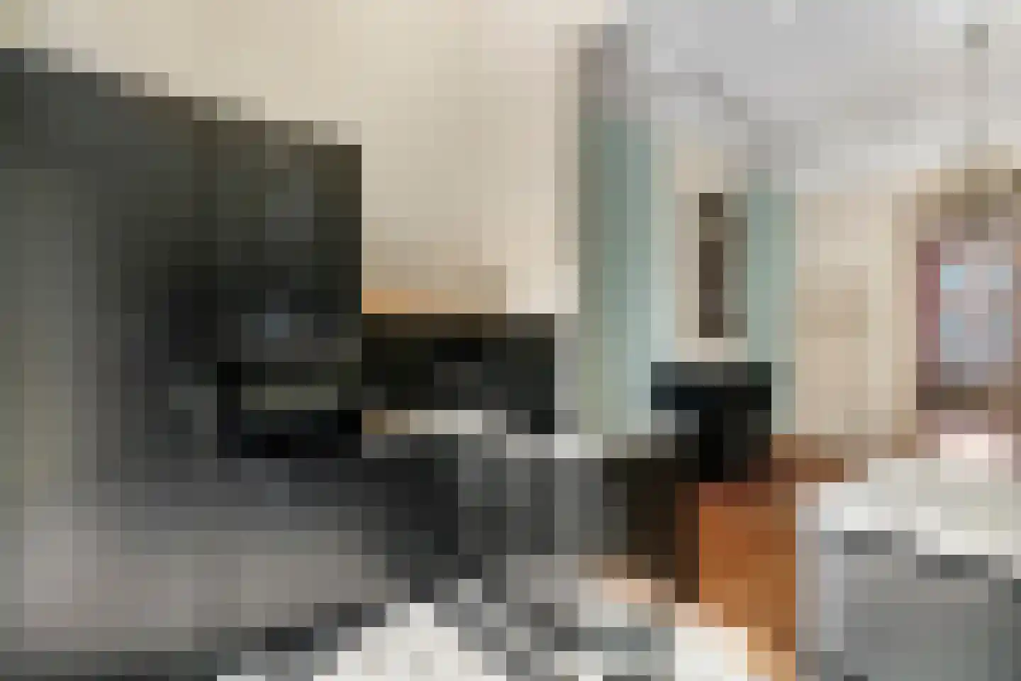 Groot Hertoginnelaan 54 Den Haag thumbnail 18