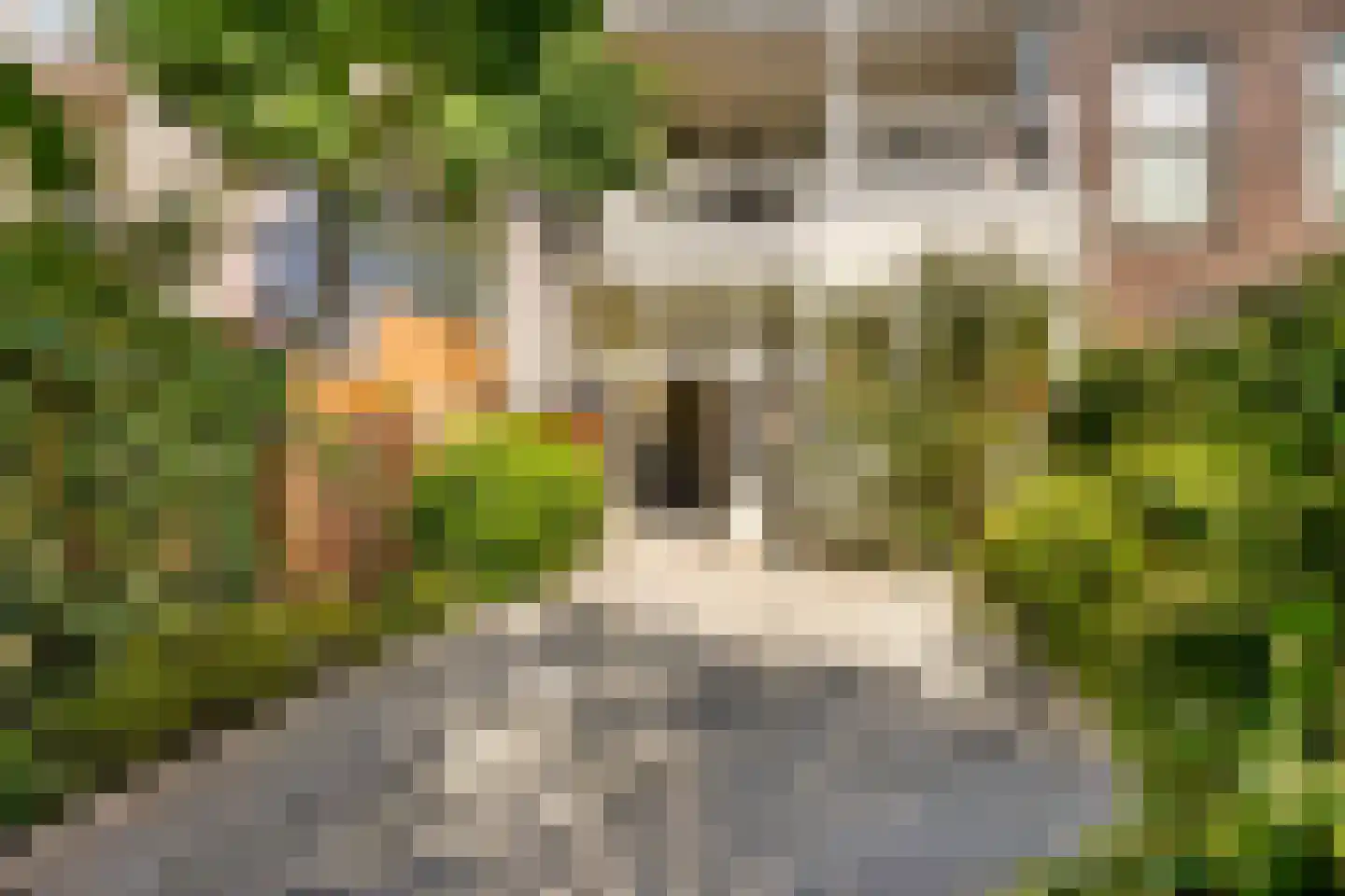 Groot Hertoginnelaan 54 Den Haag thumbnail 22