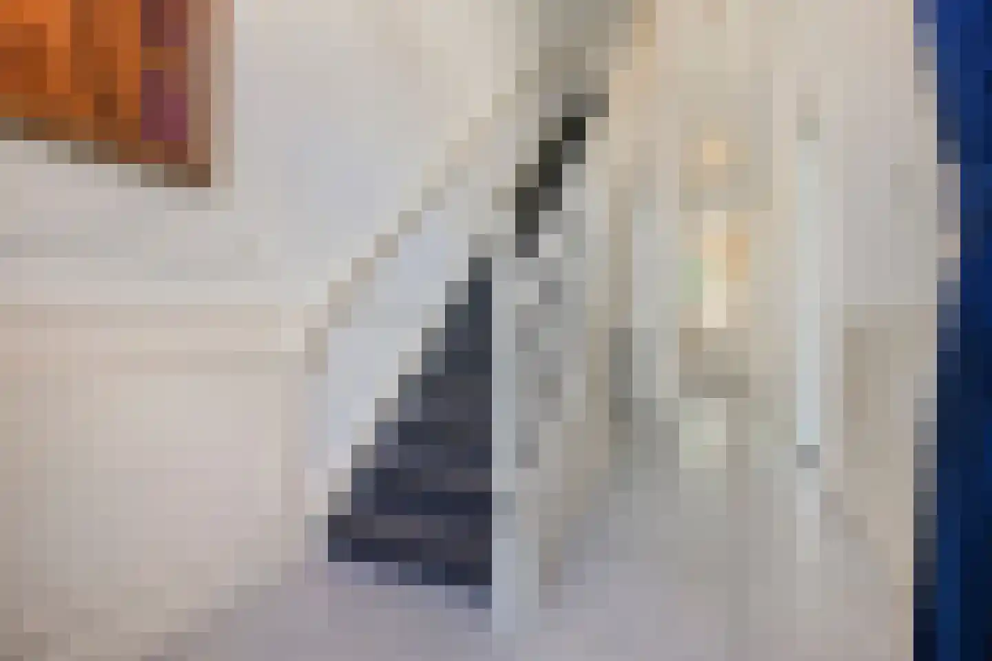 Groot Hertoginnelaan 54 Den Haag thumbnail 30