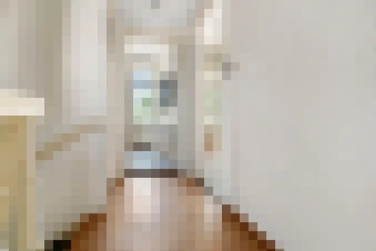 Groot Hertoginnelaan 54 Den Haag thumbnail 37