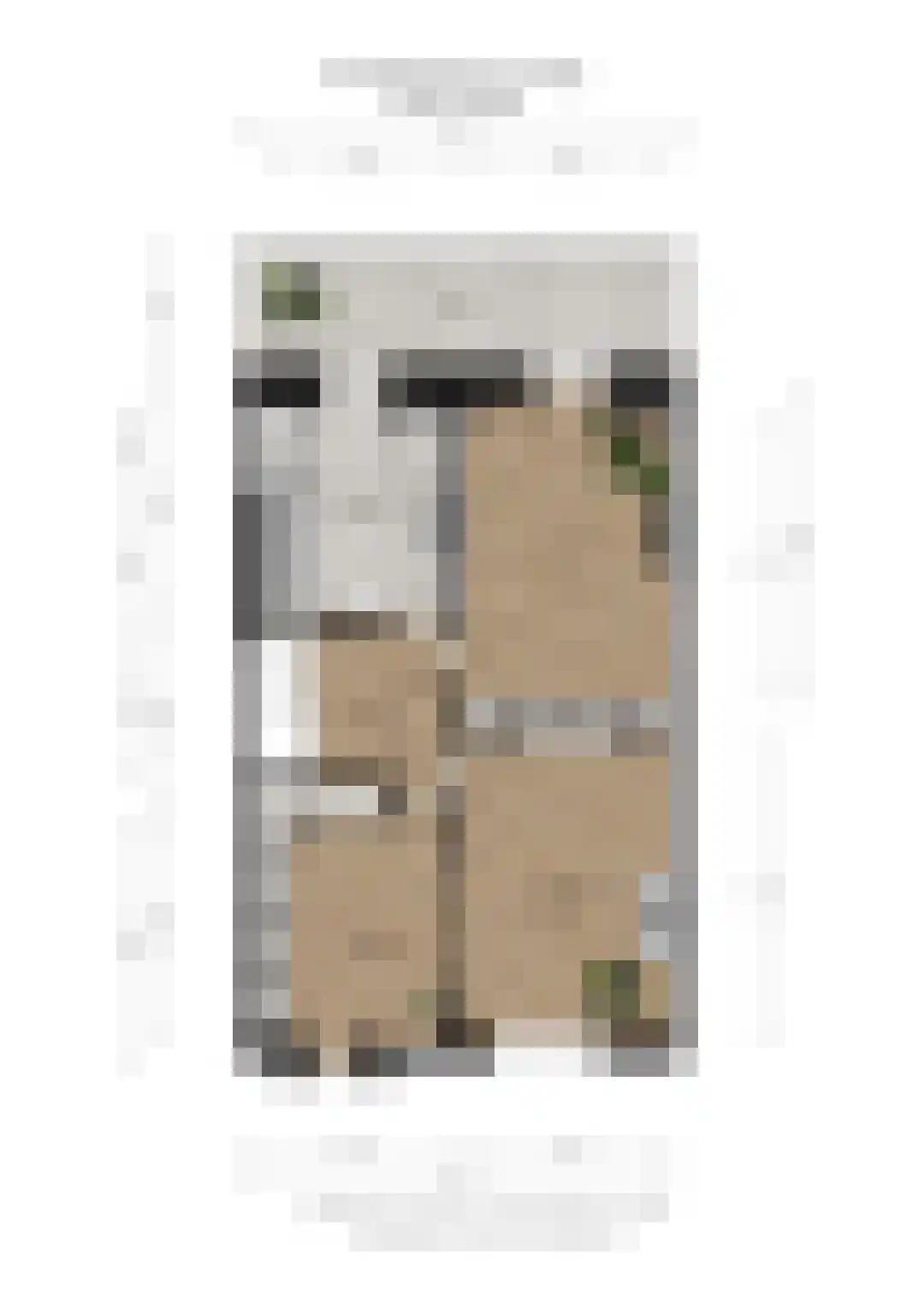 Groot Hertoginnelaan 54 Den Haag thumbnail 47
