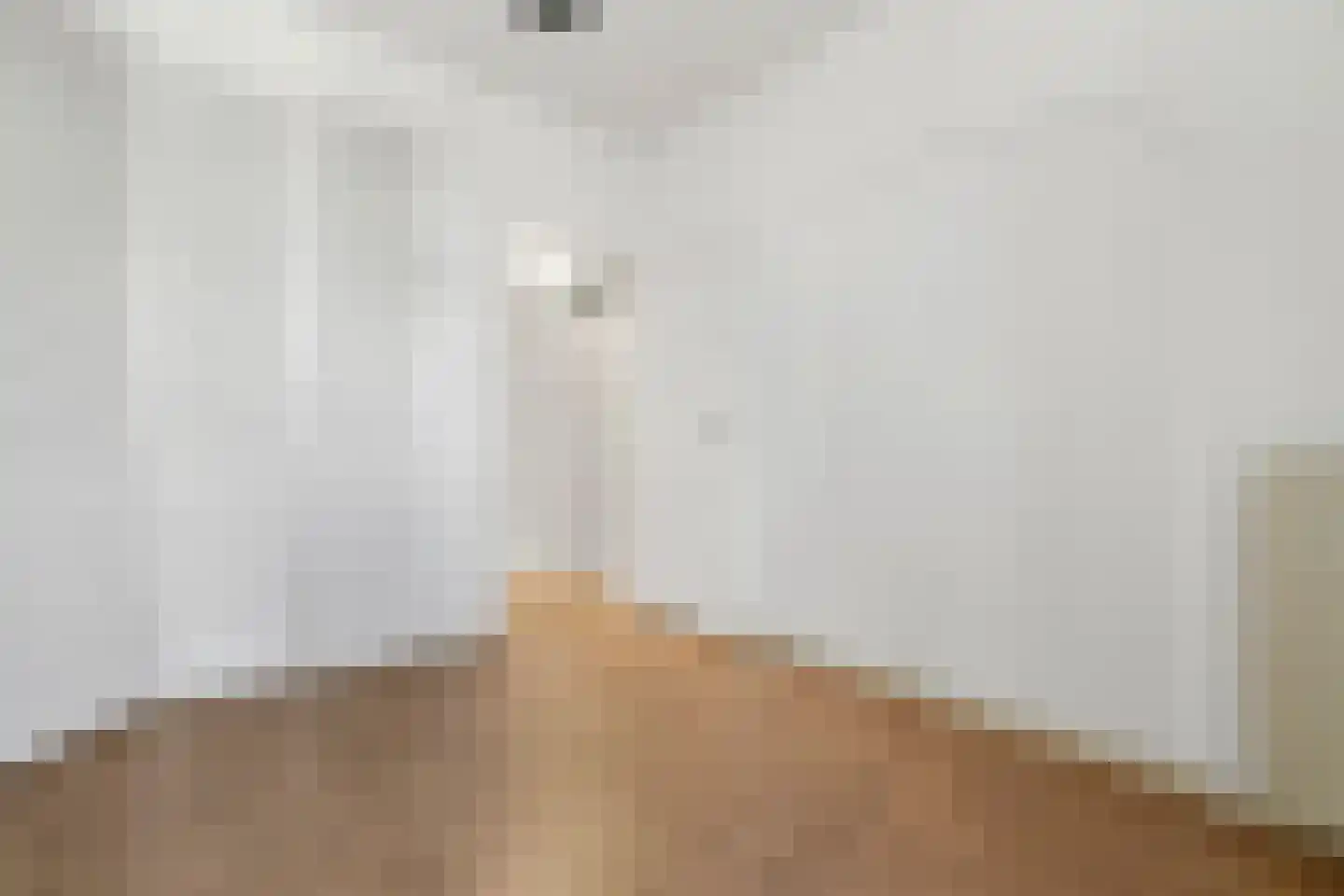 Groot Hertoginnelaan 54 Den Haag thumbnail 53
