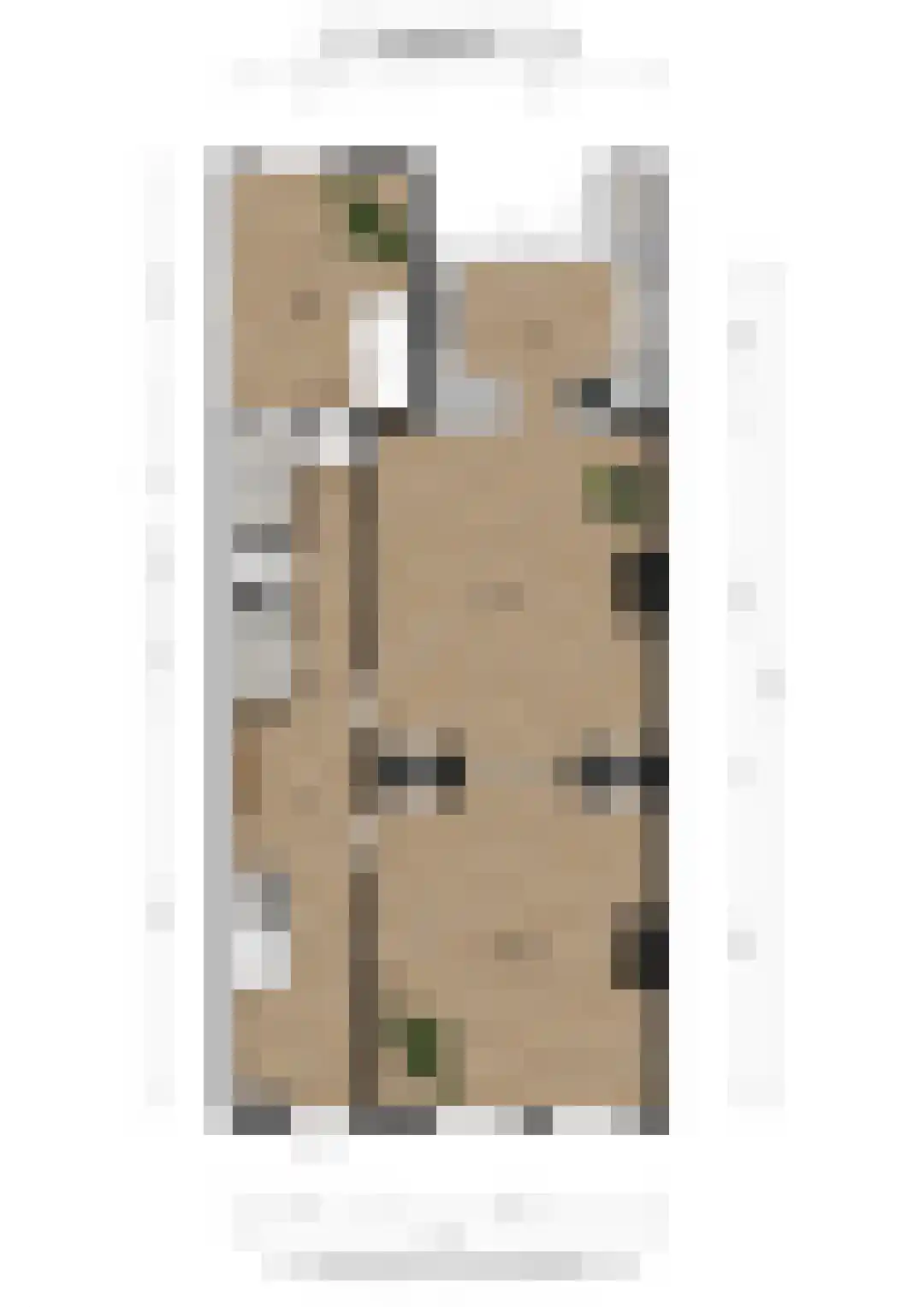 Groot Hertoginnelaan 54 Den Haag thumbnail 8