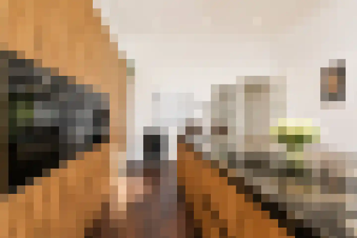 Groot Hertoginnelaan 6 A Den Haag thumbnail 10