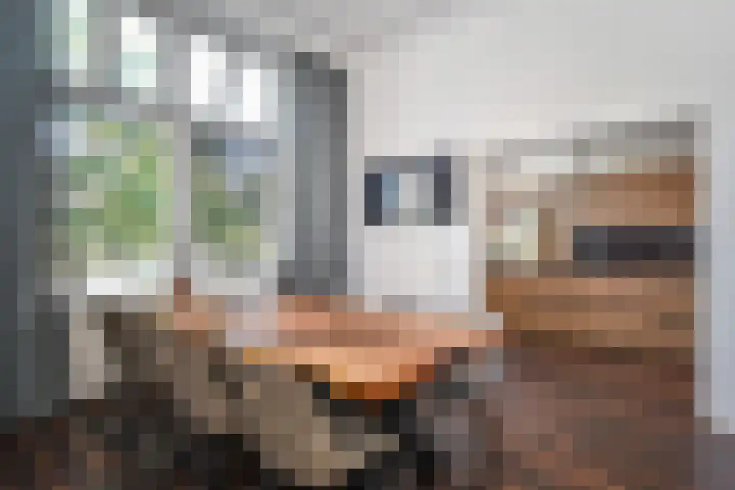 Groot Hertoginnelaan 6 A Den Haag thumbnail 13