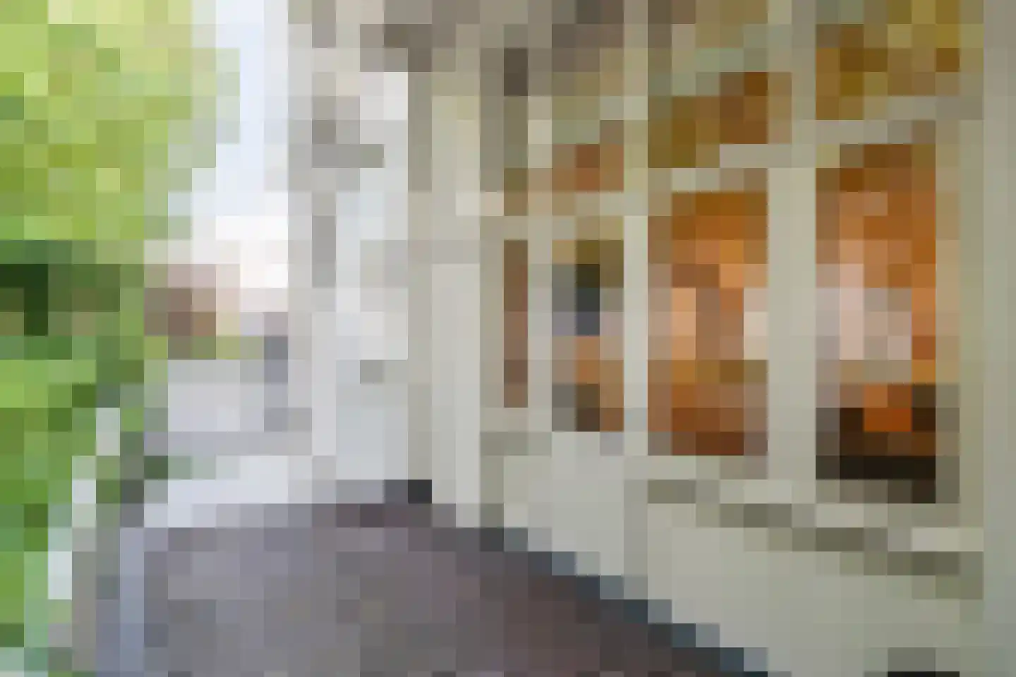 Groot Hertoginnelaan 6 A Den Haag thumbnail 16