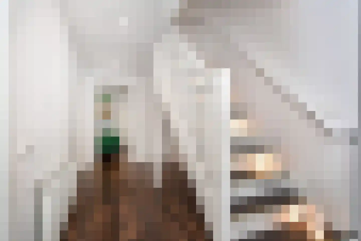 Groot Hertoginnelaan 6 A Den Haag thumbnail 25