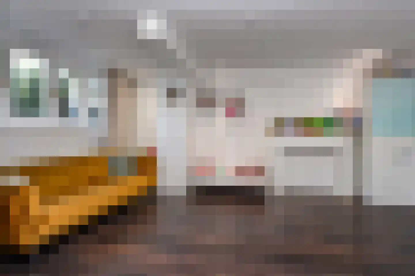 Groot Hertoginnelaan 6 A Den Haag thumbnail 37