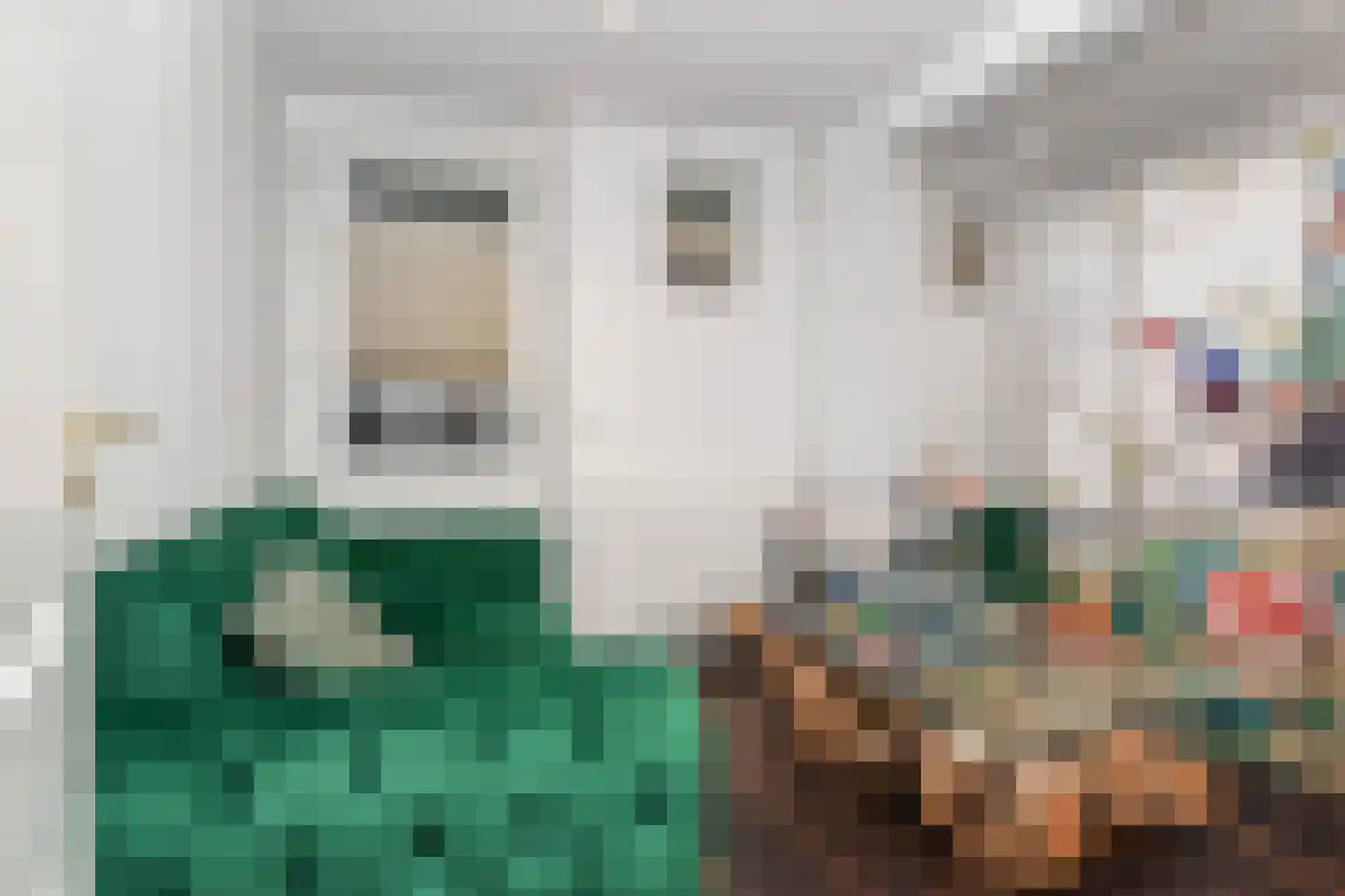 Groot Hertoginnelaan 6 A Den Haag thumbnail 42