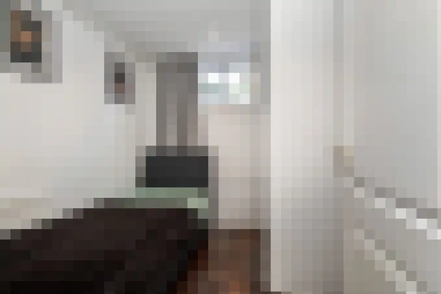 Groot Hertoginnelaan 6 A Den Haag thumbnail 43