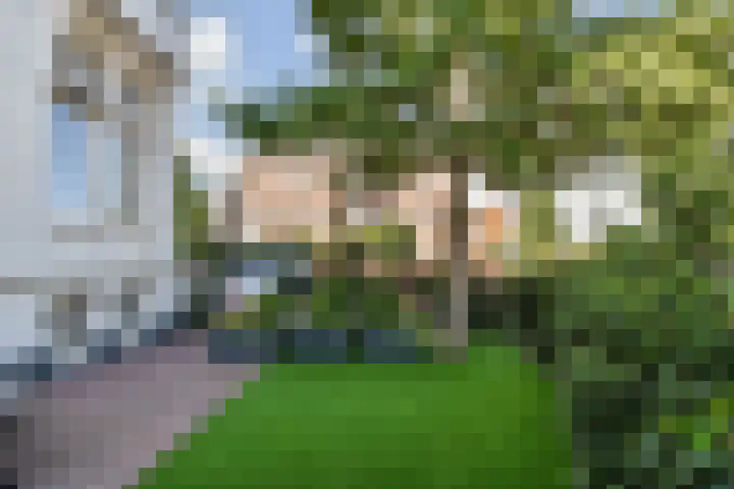 Groot Hertoginnelaan 6 A Den Haag thumbnail 5