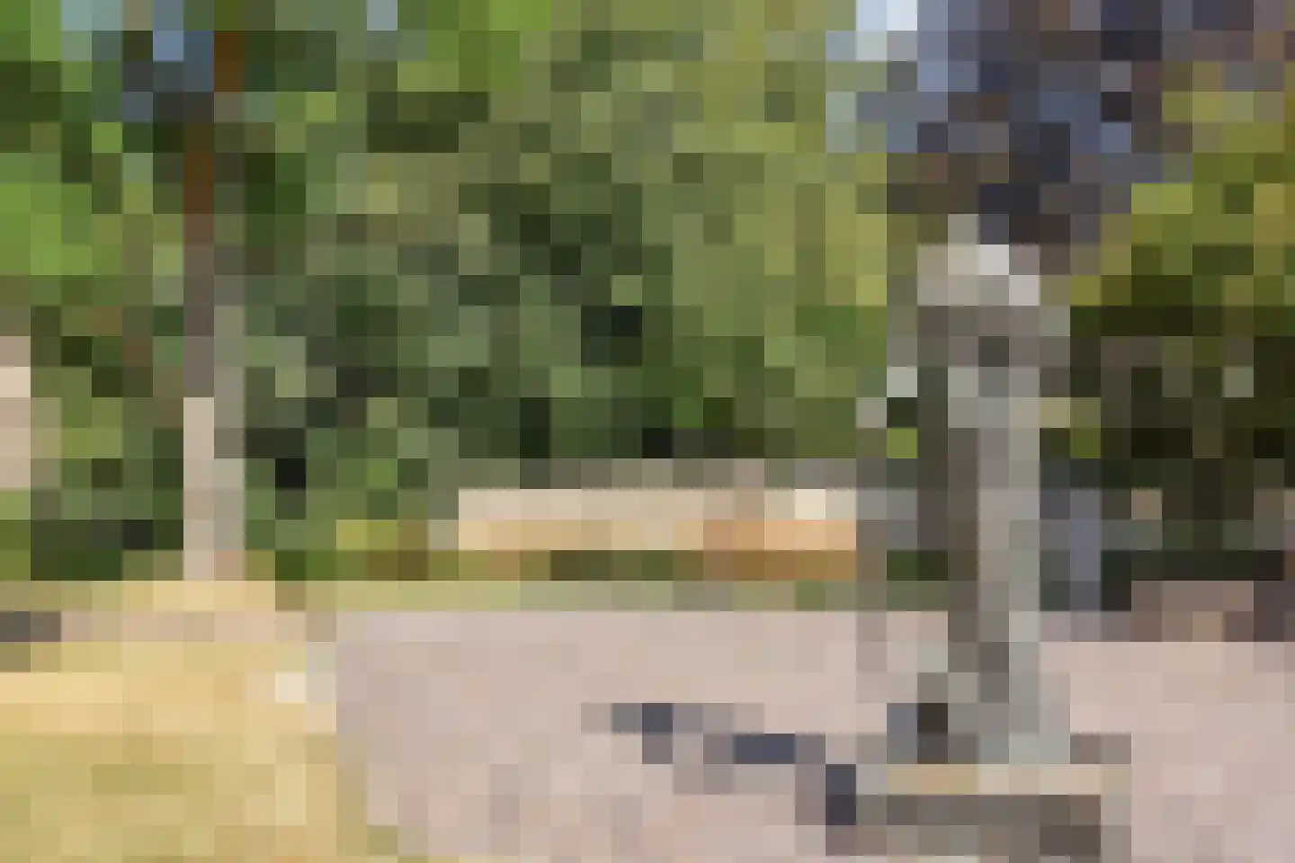 Groot Hertoginnelaan 6 A Den Haag thumbnail 50