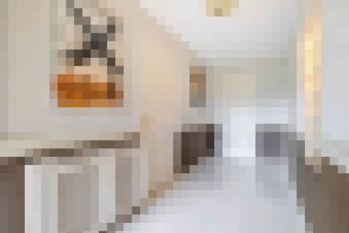 Groot Hertoginnelaan 6 C Den Haag thumbnail 16