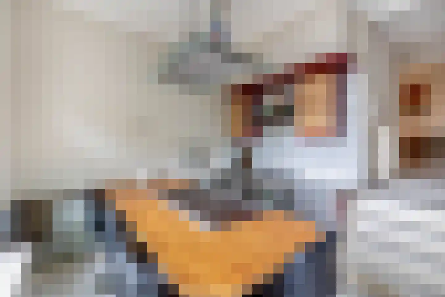 Groot Hertoginnelaan 6 C Den Haag thumbnail 26