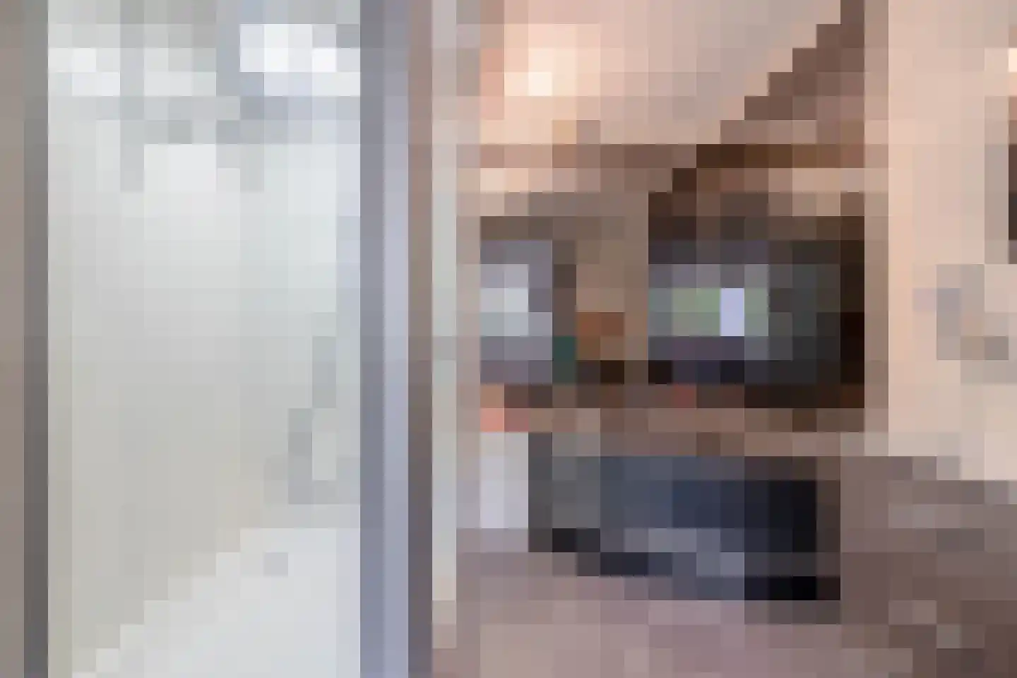 Groot Hertoginnelaan 6 C Den Haag thumbnail 36