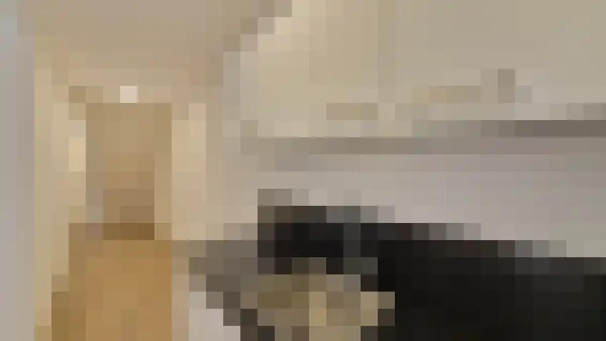 Groot Hertoginnelaan 63 Den Haag thumbnail 4