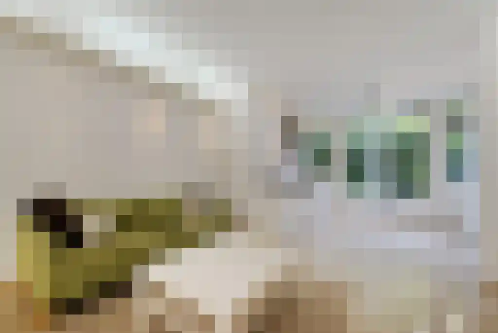 Groot Hertoginnelaan 77 A Den Haag thumbnail 17