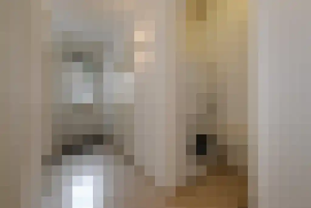 Groot Hertoginnelaan 77 A Den Haag thumbnail 18