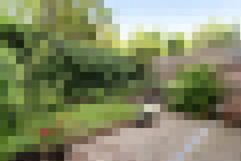 Groot Hertoginnelaan 77 A Den Haag thumbnail 19