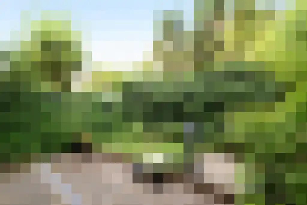 Groot Hertoginnelaan 77 A Den Haag thumbnail 20