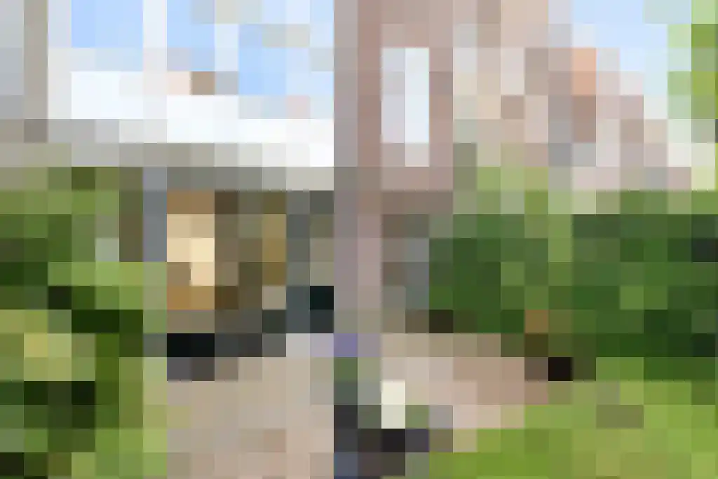 Groot Hertoginnelaan 77 A Den Haag thumbnail 21