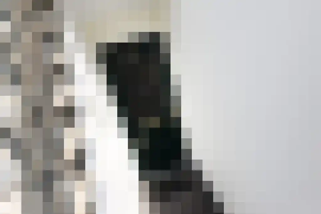 Groot Hertoginnelaan 77 A Den Haag thumbnail 24