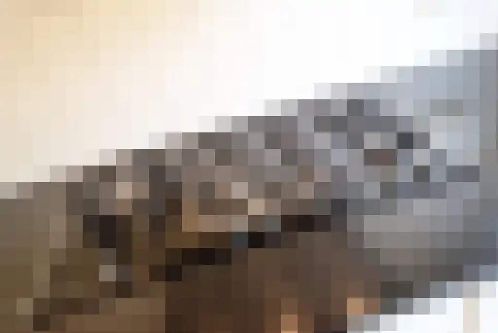 Groot Hertoginnelaan 77 A Den Haag thumbnail 5