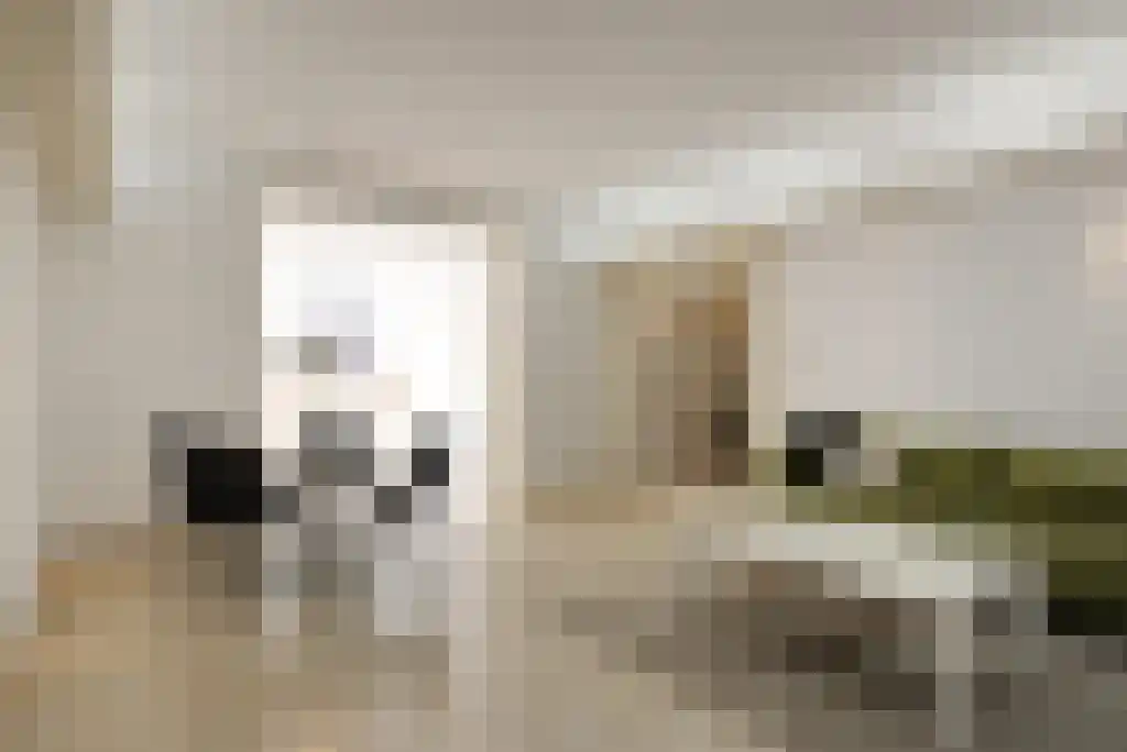 Groot Hertoginnelaan 77 A Den Haag thumbnail 7