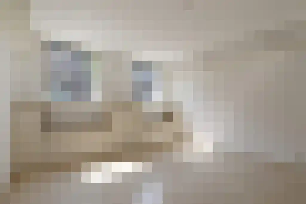 Groot Hertoginnelaan 77 A Den Haag thumbnail 9