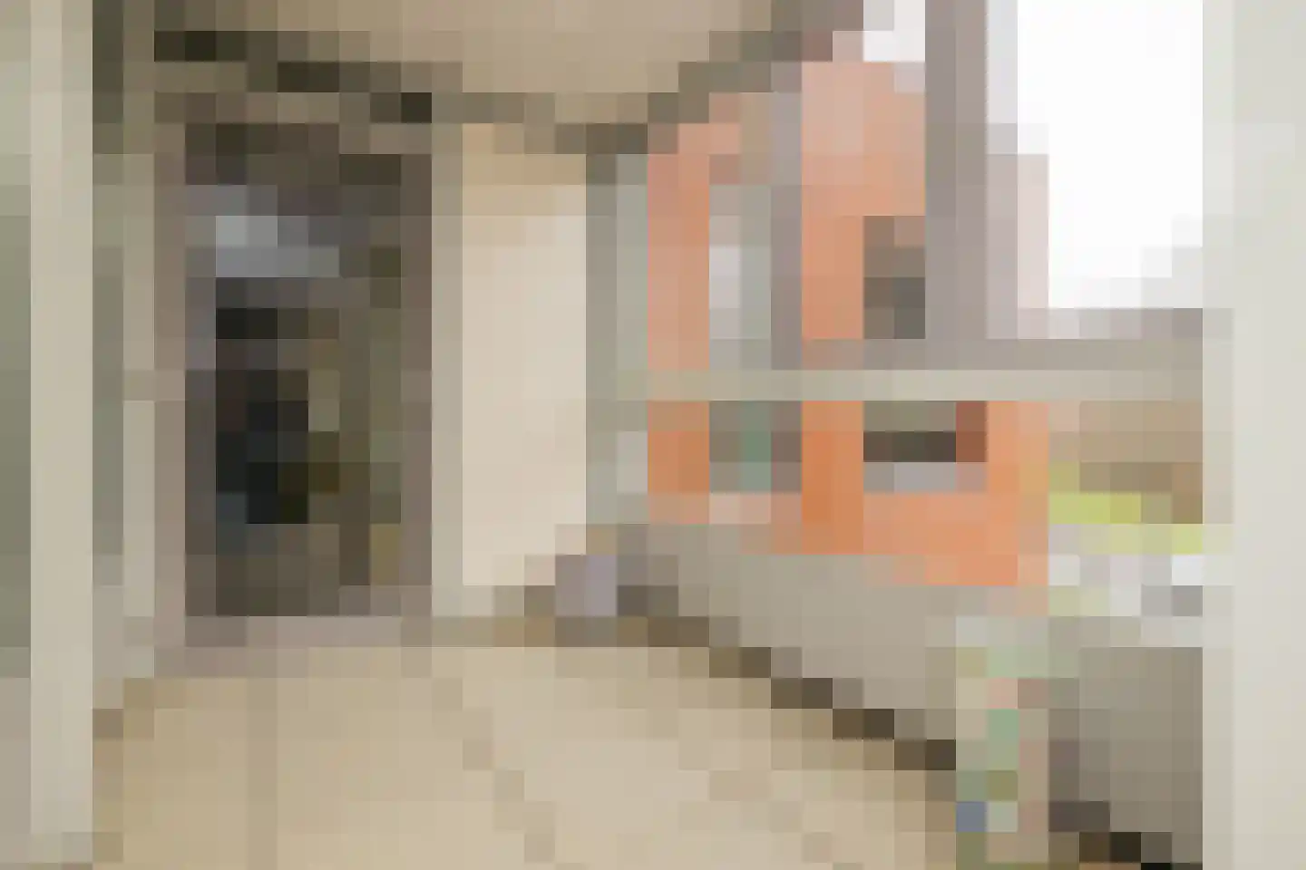 Groot Hertoginnelaan 8 B Den Haag thumbnail 11