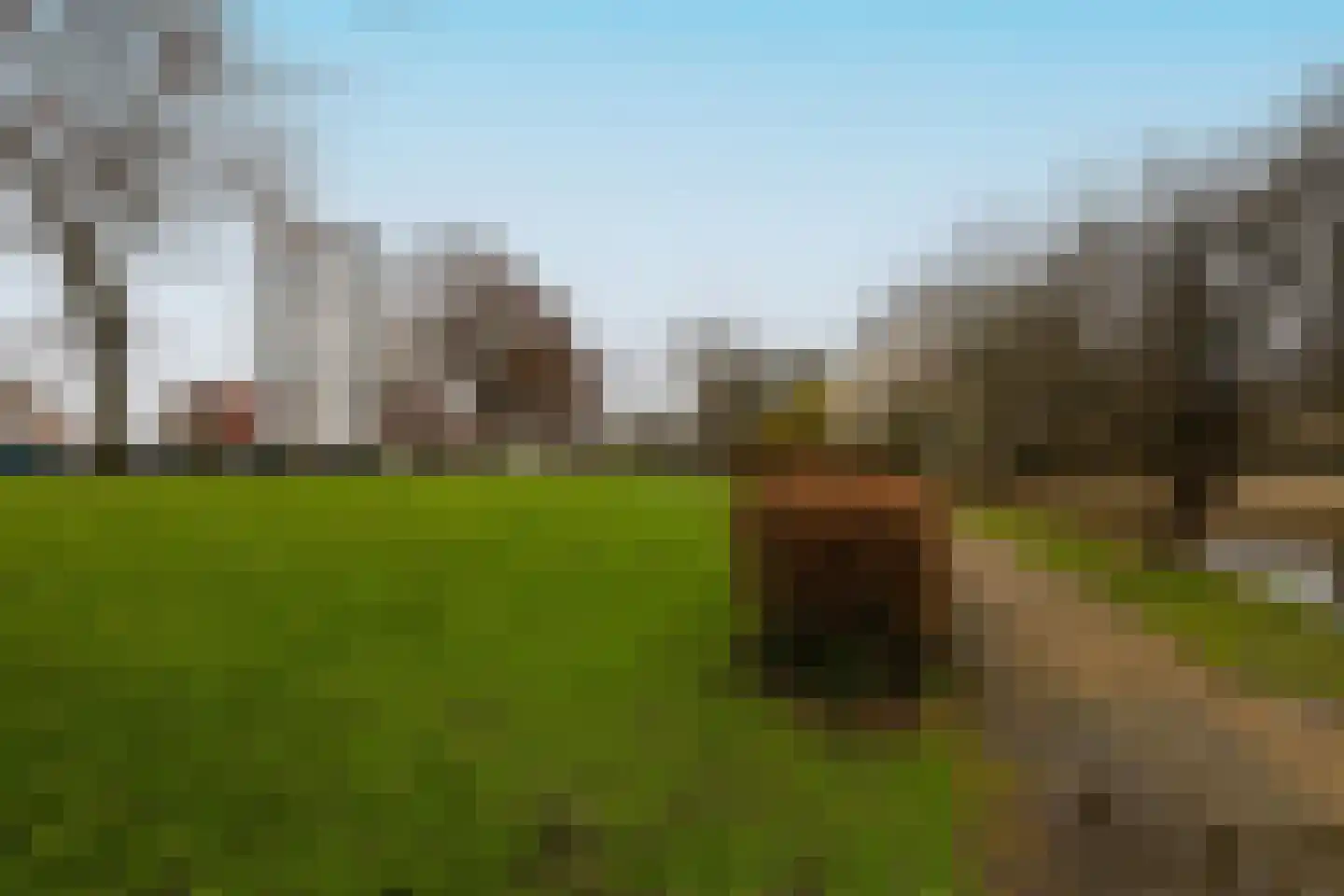 Groot Hertoginnelaan 8 B Den Haag thumbnail 22