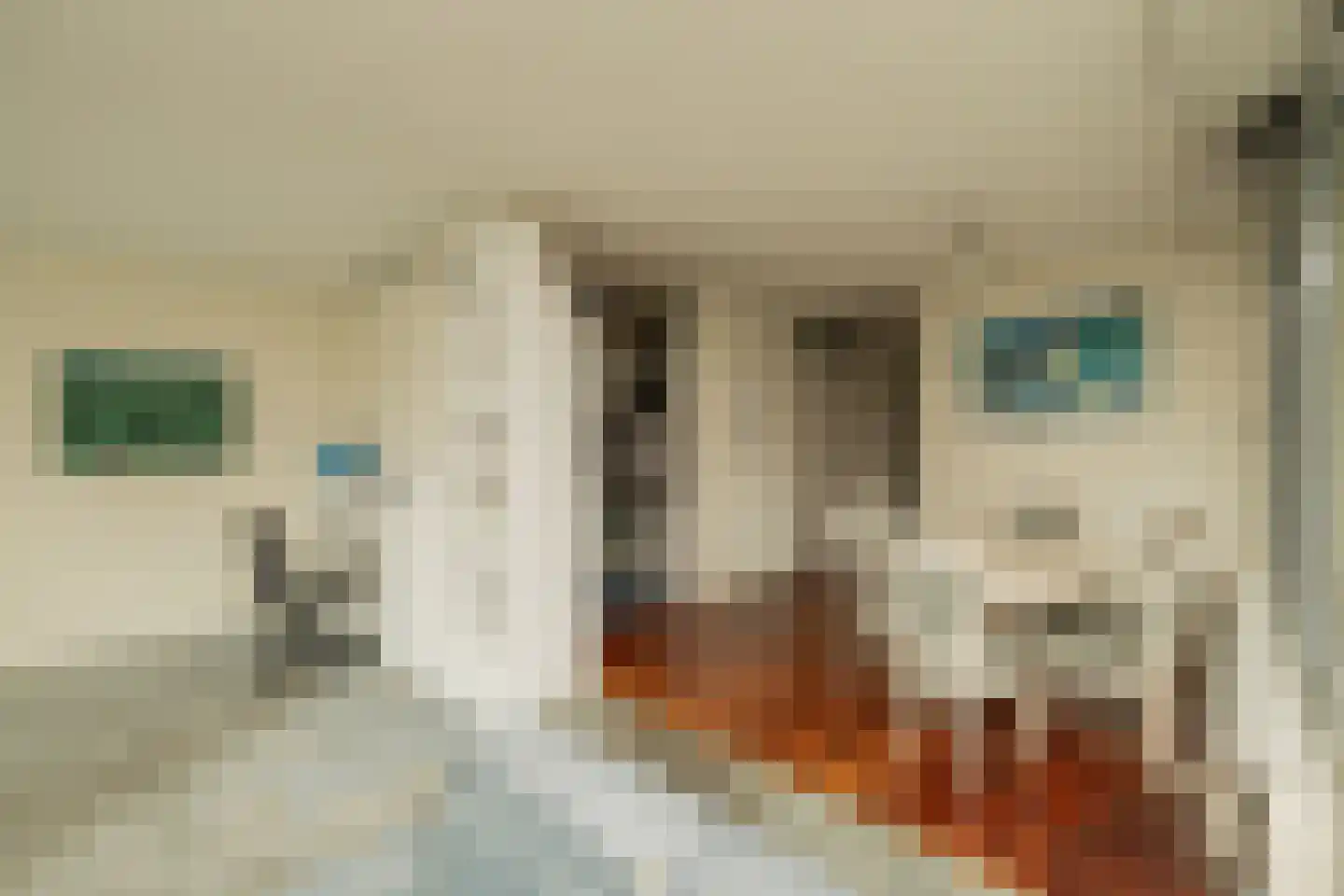 Groot Hertoginnelaan 8 B Den Haag thumbnail 6