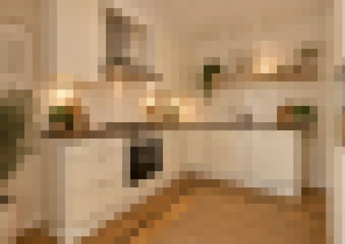 Groot Hertoginnelaan 8 E Den Haag thumbnail 10